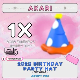 2022 Birthday Party Hat