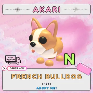 French Bulldog | Adopt Me