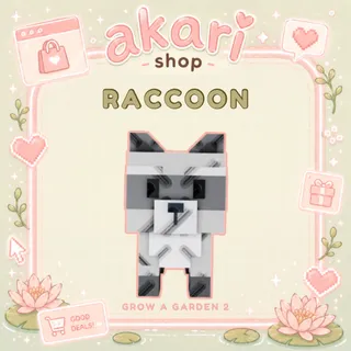 Raccoon