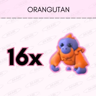 Orangutan