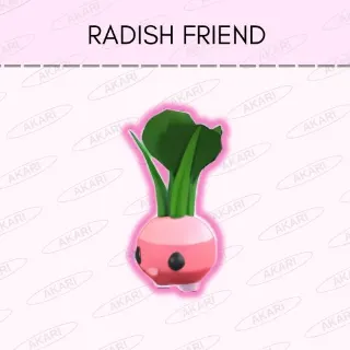 Radish Friend