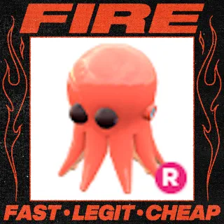 R Octopus