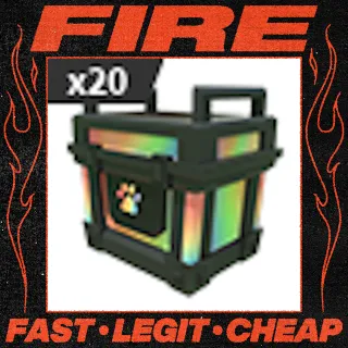 x20 RGB Reward Box