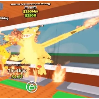 DRAGON CANELLONI 250M/S