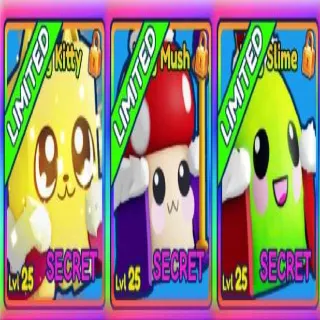 The King Secret Bundle