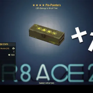 ×10 pin pointer mods