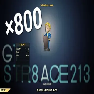 ×800 leaders