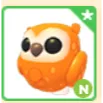 Neon Clementine Owl