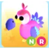NR Dodo | Adopt me