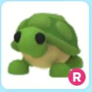 Turtle R | Adopt me!