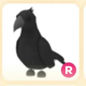 R Crow Adopt me