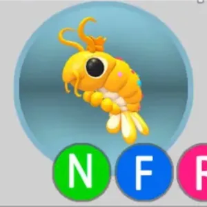 NFR Priceless Shrimp