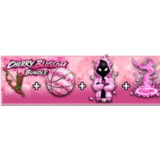 CHERRY BLOSSOM BUNDLE - ARCADE BASKETBALL 1399R