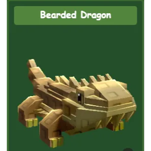 3X BEARDED DRAGON - GROW A GARDEN