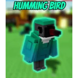 3x HUMMING BIRD - GROW A GARDEN