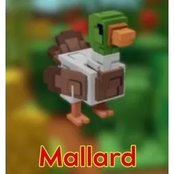 MALLARD - GROW A GARDEN