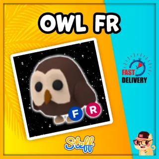 Pet | Owl FR