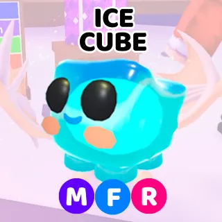 ICE CUBE MFR