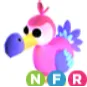 Dodo NFR - Adopt Me Roblox
