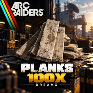 Planks 100x 