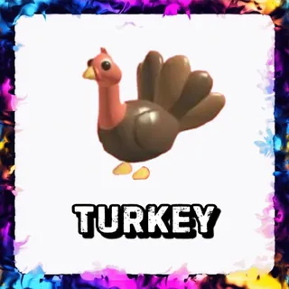 TURKEY ADOPT ME