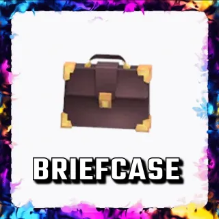 BRIEFCASE ADOPT ME