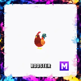 ROOSTER M ADOPT ME