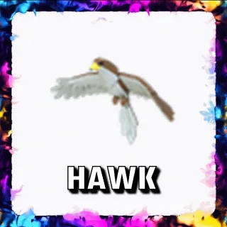 HAWK ADOPT ME