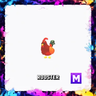 ROOSTER M ADOPT ME