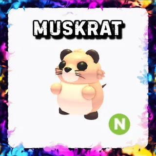 MUSKRAT N ADOPT ME