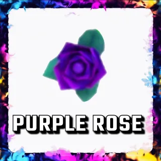 PURPLE ROSE ADOPT ME