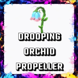 DROOPING ORCHID PROPELLER ADOPT ME