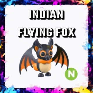 INDIAN FLYING FOX N ADOPT ME