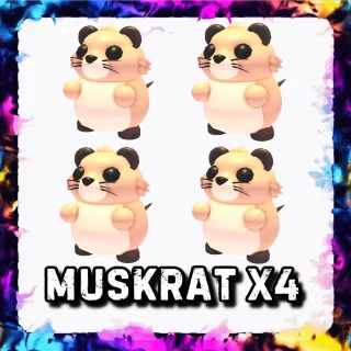MUSKRAT x4 ADOPT ME