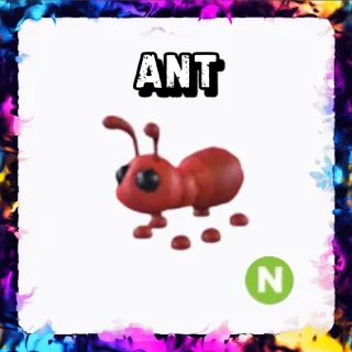ANT N ADOPT ME