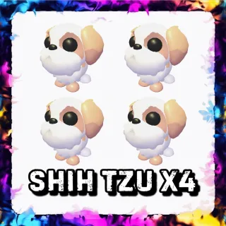 SHIH TZU x4 ADOPT ME