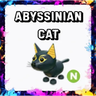 ABYSSINIAN N ADOPT ME