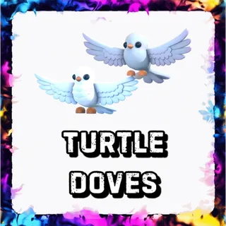 TURTLE DOVES ADOPT ME