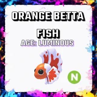 ORANGE BETTA FISH N ADOPT ME