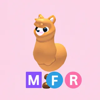 MFR Alpaca