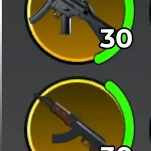 1 AK47 & MP5 (Crashouts