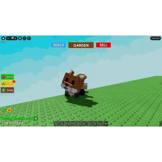 3x clean good size red fox