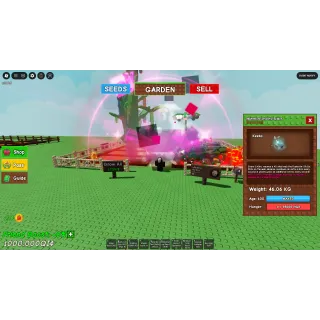 60 KG Nightmare Ghostly Spider