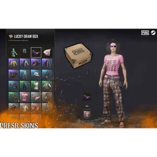 STEAM PUBG LUCKY DRAW BOX X100 PCS