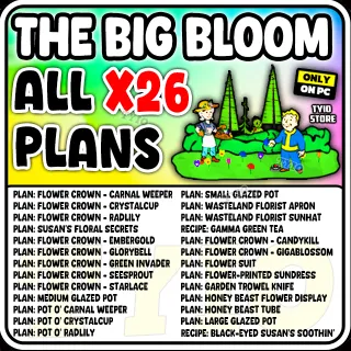 The Big Bloom plans