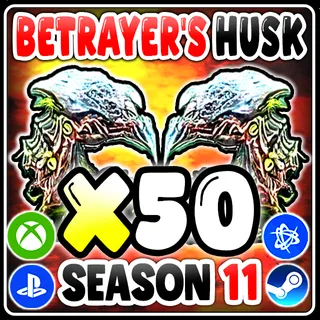 DIABLO 4 Betrayer’s Husk