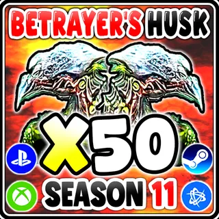 DIABLO 4 Betrayer’s Husk