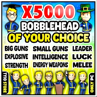 Bobblehead ( Big Guns - Leader - Melee - Small Guns - Energy Weapons - Intelligence - strength - luck - explosive )