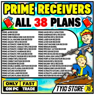 FALLOUT 76 PRIME RECEIVERS