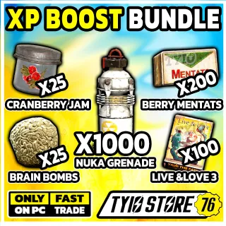 FALLOUT 76 XP Boost